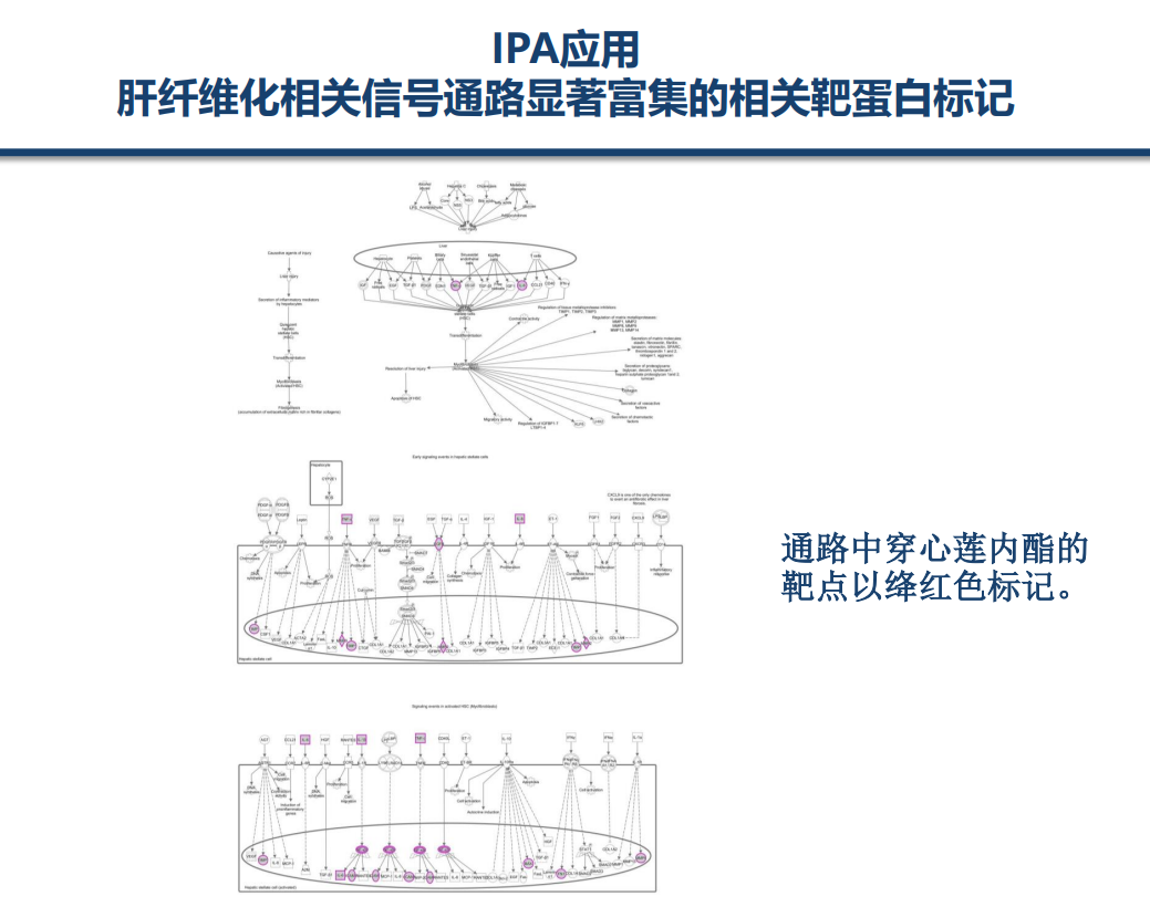 ff063eb2398c9faaf0f7f42e9e30c531.png
