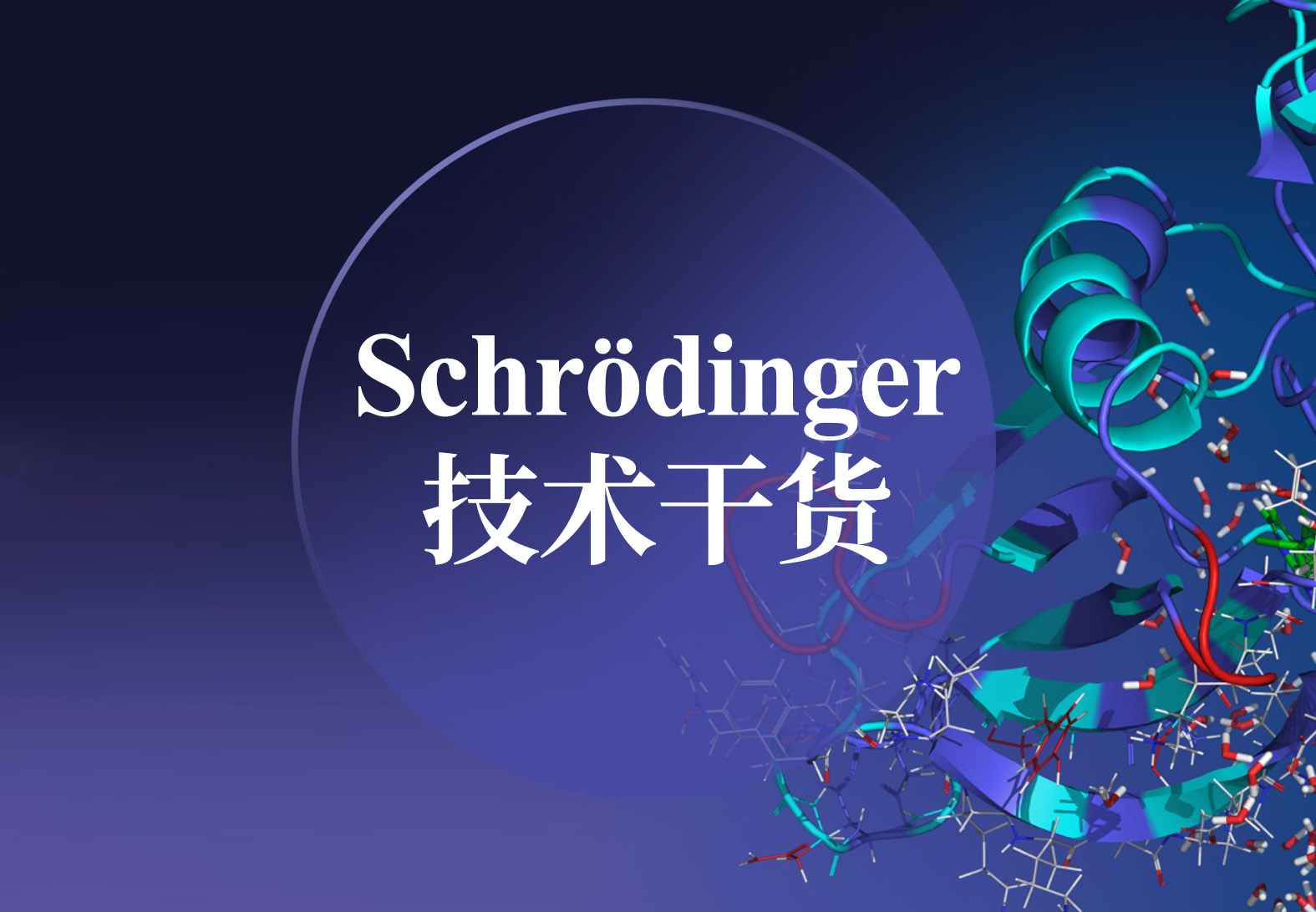 计算驱动创新！Schrödinger软件在抗体药物建模、优化、评估中的应用